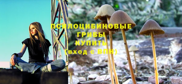 дурь Абинск