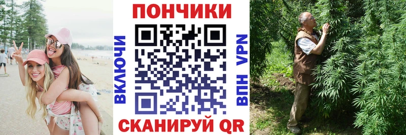 цены   Тбилисская  Конопля семена 